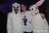 photo 10784890.jpg